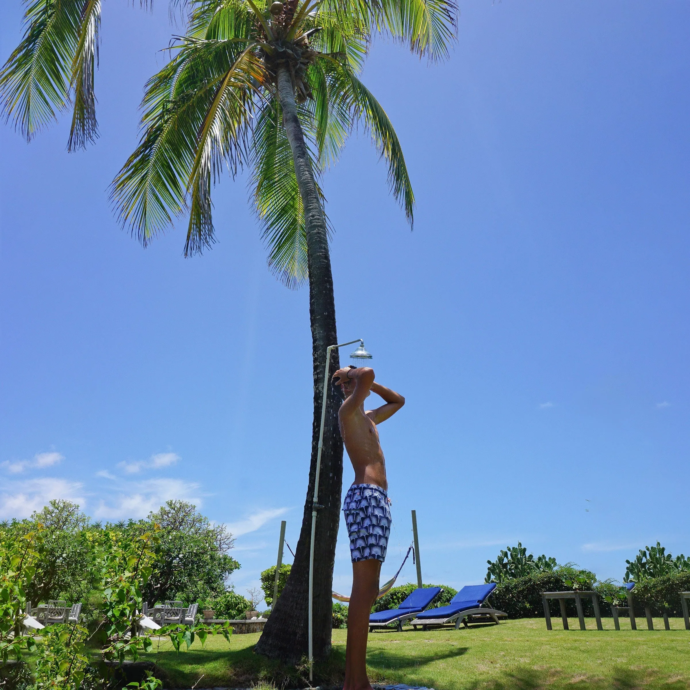 Swim Shorts FAN PALM