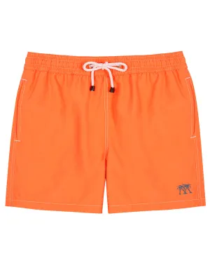 Swim Shorts